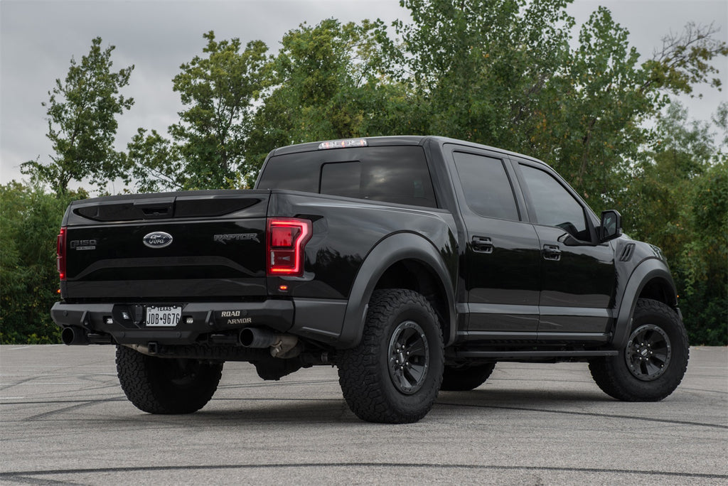 raptor-7.jpg
