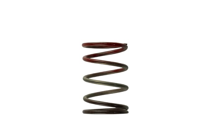 Turbosmart TS-0505-2004 2011 WG38/40/45 11PSI Middle Spring Brown/Red