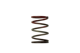 Turbosmart TS-0505-2004 2011 WG38/40/45 11PSI Middle Spring Brown/Red