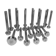 Load image into Gallery viewer, Yukon Gear and Axle YTBDSET Yukon Bearing Race Driver Set, 21 Pieces