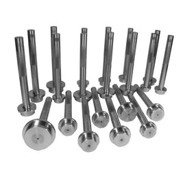 Yukon Gear and Axle YTBDSET Yukon Bearing Race Driver Set, 21 Pieces
