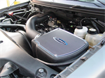 VOLANT 197546 Cold Air Intake
