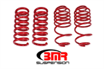 BMR SP035R Lowering Kit