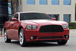 T-REX 20442B Grille Insert
