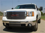 T-REX 21207 Grille Insert
