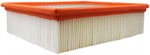 FRAM CA8243 AIR FILTER