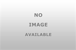 17A151000MSS-PLB Grille Guard