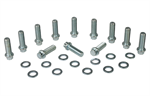 MOROSO 38400 INTAKE MANIFOLD BOLT SET CHEVY