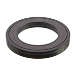 NATIONAL 710925 OIL SEAL