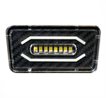 264907 License Plate Light