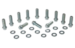 MOROSO 38410 INTAKE MANIFOLD BOLT SET CHEVY