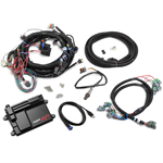 HOLLEY 550-603 Fuel Injection System