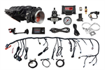 FITECH 70019 FUEL INJECTION SYSTEM